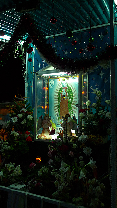メキシコの褐色のマリア、グアダルーペの聖母の祭壇