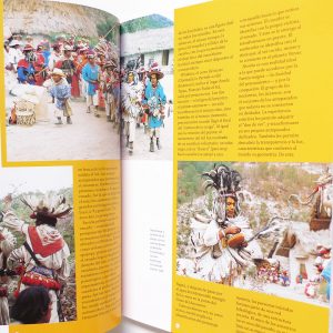 メキシコ ウイチョル族 本