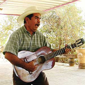 メキシコ ギター 歌手