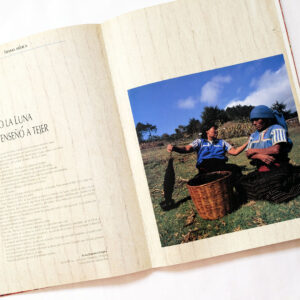 チアパス州マヤの織物 本