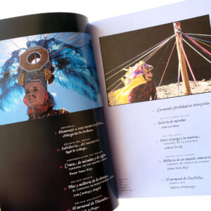 メキシコ仮面 本