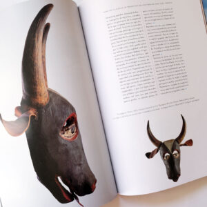 メキシコ仮面 本