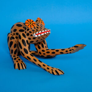 イサイアスヒメネス カエル