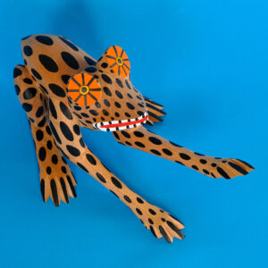 イサイアスヒメネス カエル