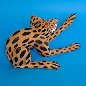 イサイアスヒメネス カエル