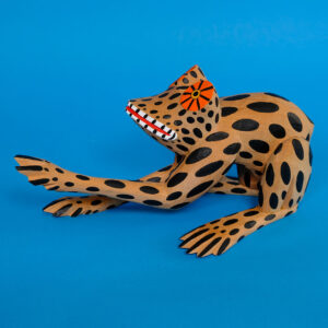 イサイアスヒメネス カエル