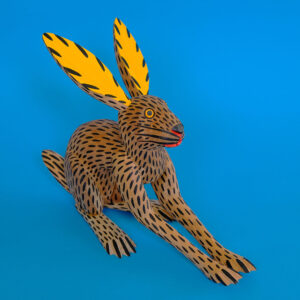 イサイアスヒメネス うさぎ