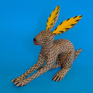 イサイアスヒメネス うさぎ