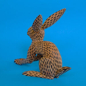 イサイアスヒメネス うさぎ