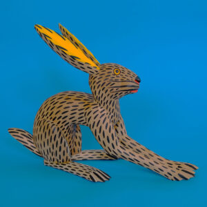 イサイアスヒメネス うさぎ