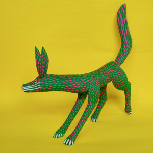 イサイアスヒメネス コヨーテ