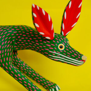 イサイアスヒメネス コヨーテ