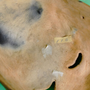 ゲレーロ 仮面 利根山光人